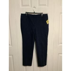Ann Taylor Navy Slacks